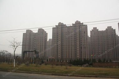 衡逸園 大連房地產(chǎn)開發(fā)中的精致生活樣本